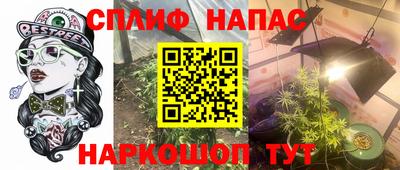 шишки Владивосток