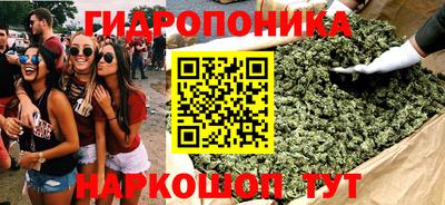 шишки Владивосток