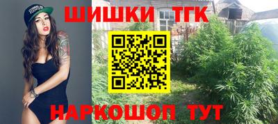 индика Брянск
