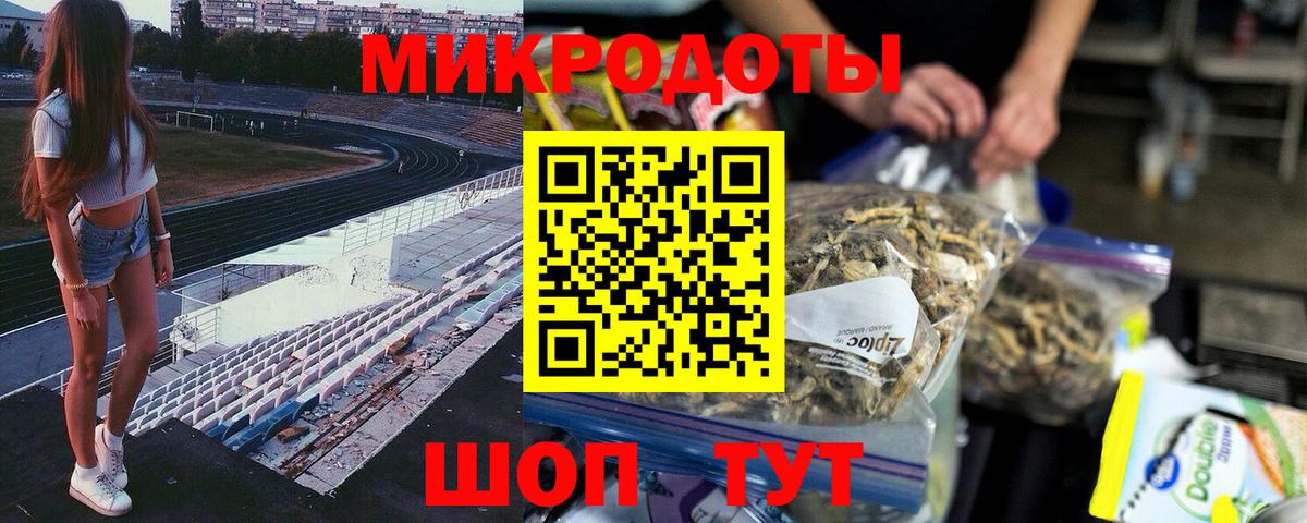 Псилоцибиновые грибы Psilocybe Верхний Уфалей